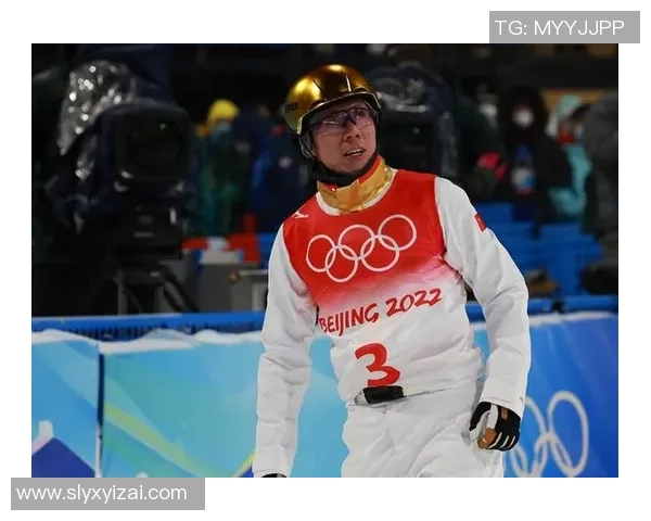 南京排球队的成长之路精英赛背后的奋斗与荣耀