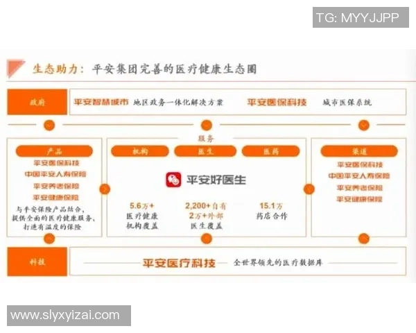 成都篮球队的节奏探秘：从战术布局到球员配合的全景分析