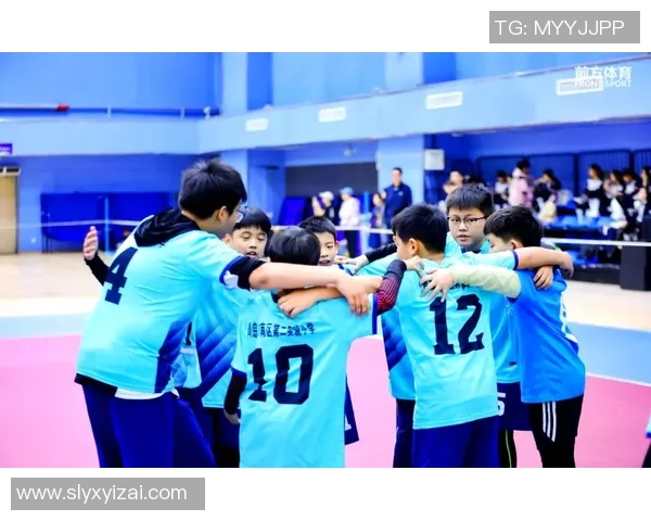 南京排球队的拼搏之路：城市联赛中的奋斗与荣耀