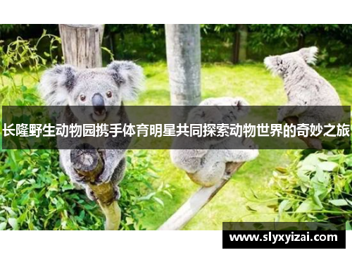 长隆野生动物园携手体育明星共同探索动物世界的奇妙之旅